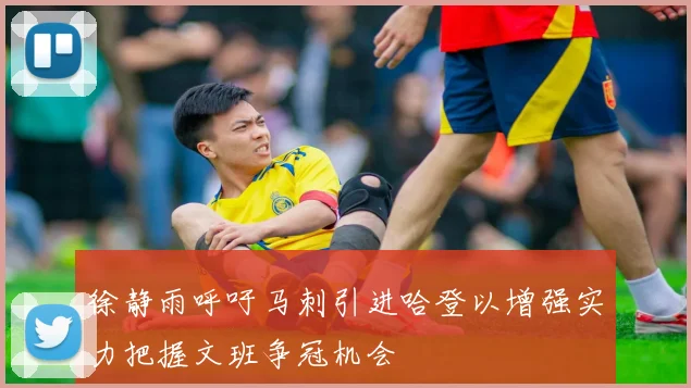 徐静雨呼吁马刺引进哈登以增强实力把握文班争冠机会