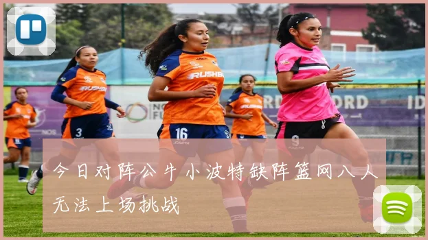 今日对阵公牛小波特缺阵篮网八人无法上场挑战