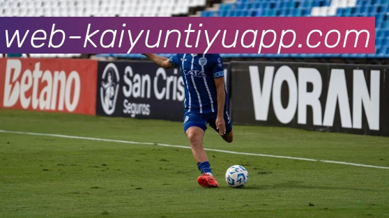 开云体育平台生态图